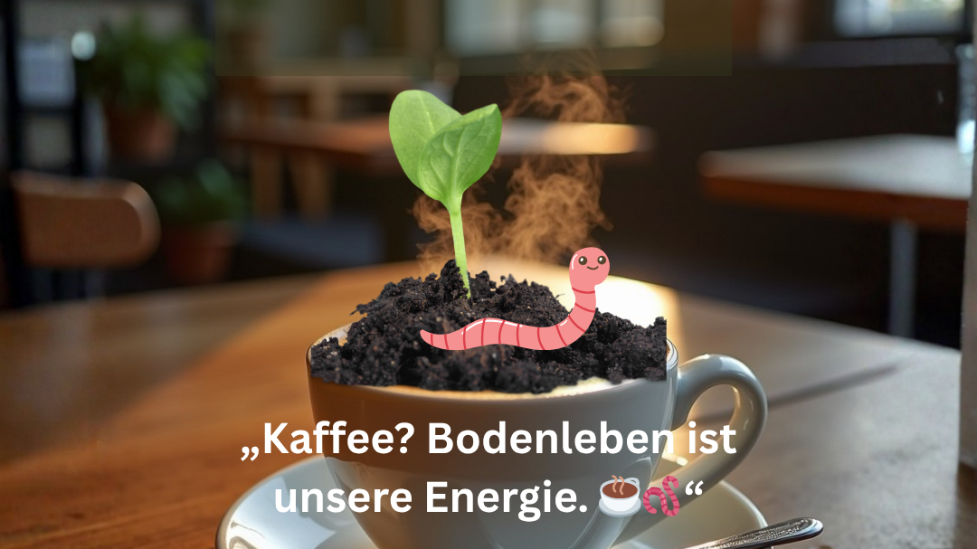 Carbo Humic – Natürliche Bodenaktivierung für nachhaltiges Pflanzenwachstum