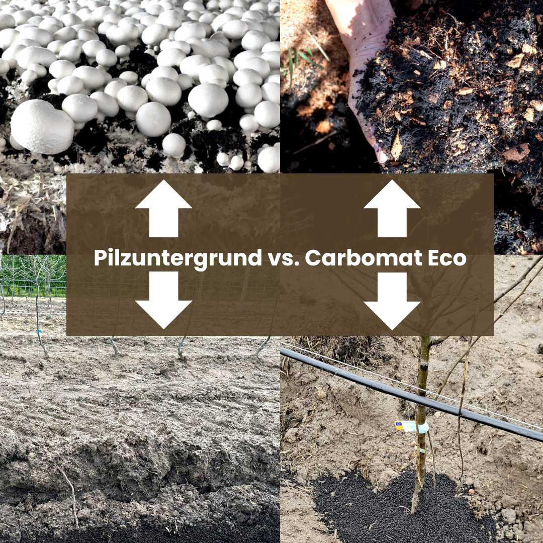 Carbomat ECO vs. Pilzsubstrat – Nachhaltige Bodenverbesserung im Vergleich