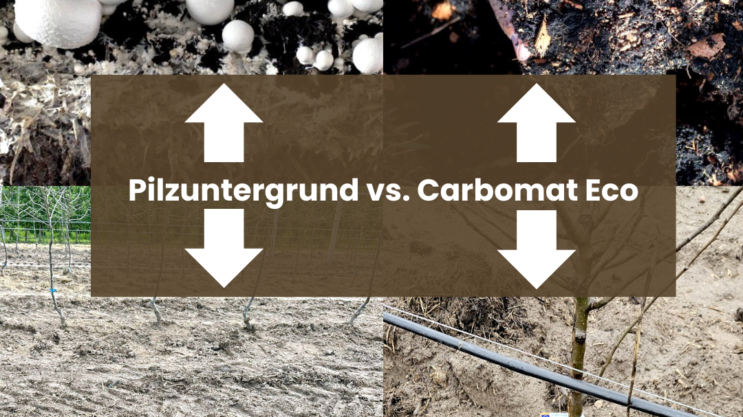 Carbomat ECO vs. Pilzsubstrat – Nachhaltige Bodenverbesserung im Vergleich