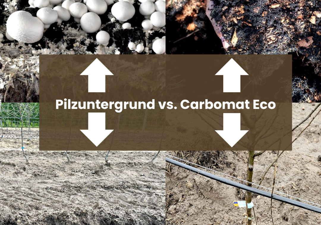 Carbomat ECO vs. Pilzsubstrat – Nachhaltige Bodenverbesserung im Vergleich