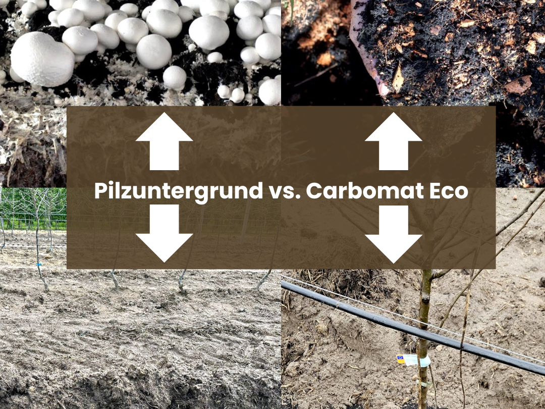 Carbomat ECO vs. Pilzsubstrat – Nachhaltige Bodenverbesserung im Vergleich