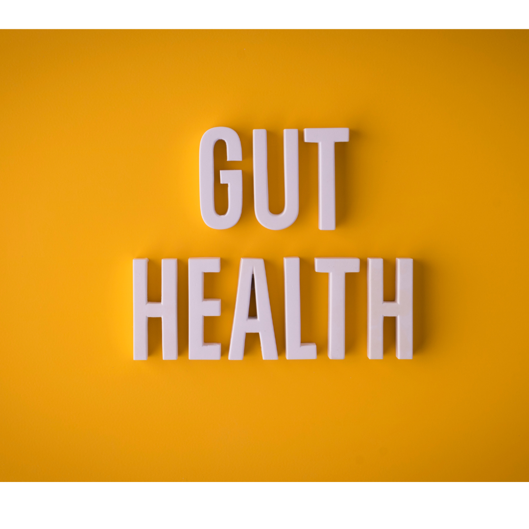 Vital – Natürliche Tierergänzungsnahrung für Darmgesundheit & Vitalität