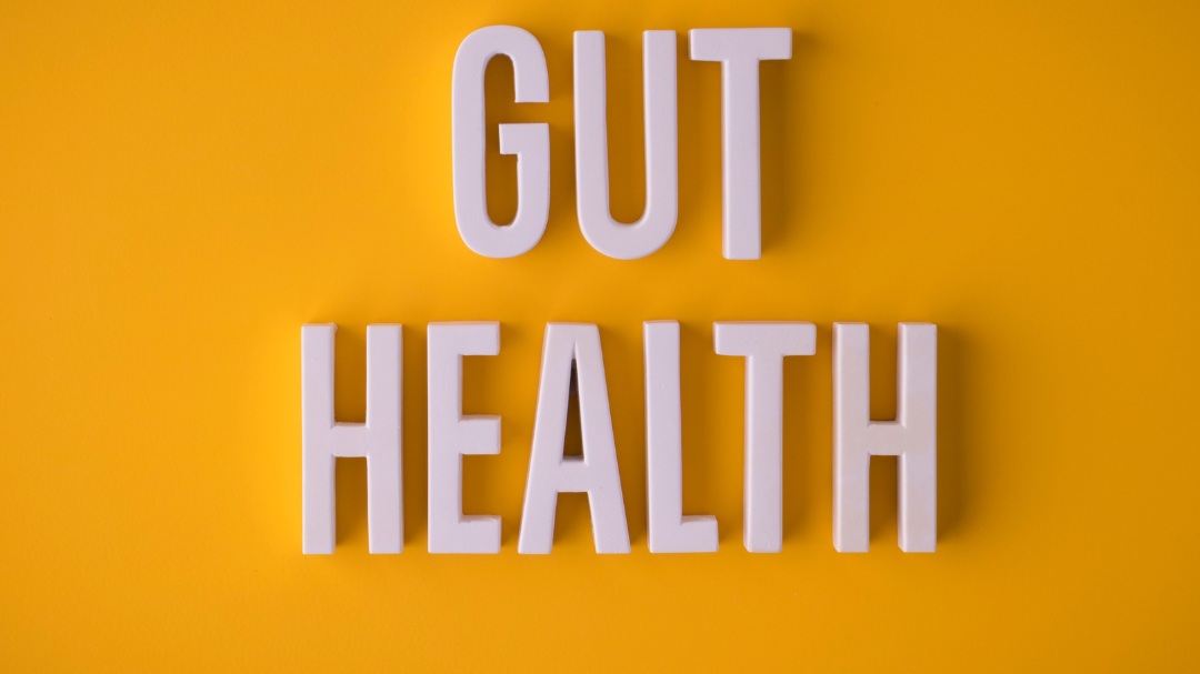 Vital – Natürliche Tierergänzungsnahrung für Darmgesundheit & Vitalität