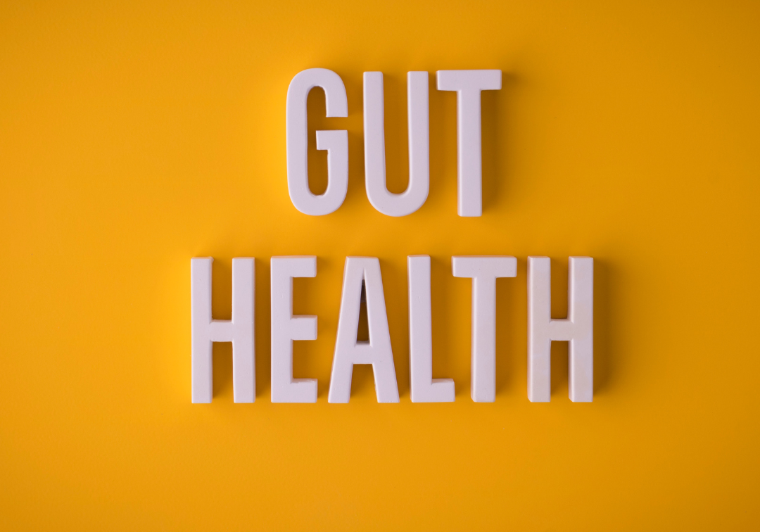 Vital – Natürliche Tierergänzungsnahrung für Darmgesundheit & Vitalität