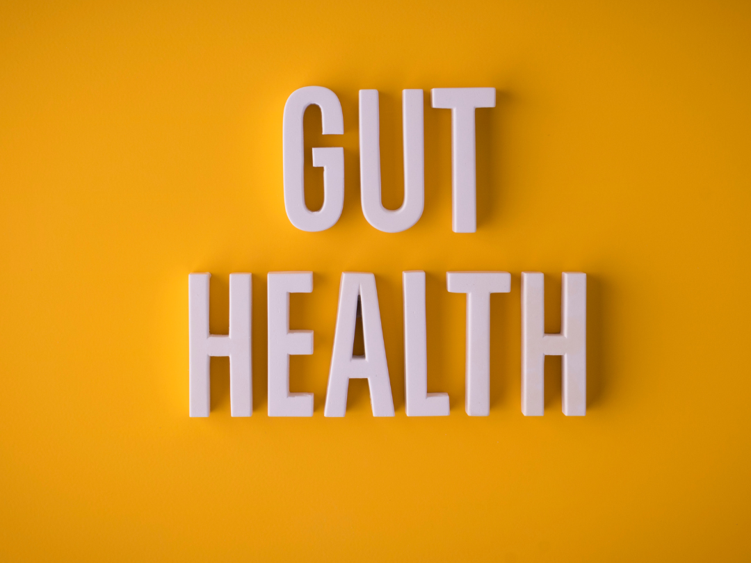 Vital – Natürliche Tierergänzungsnahrung für Darmgesundheit & Vitalität